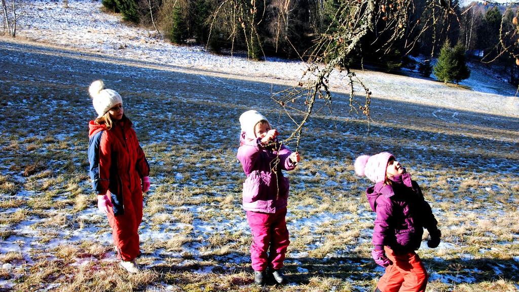 PLÁNUJEME Plánujeme zrealizovat minimálně dvě vzdělávací pobytové akce pro celé náhradní rodiny. Uskutečnit odlehčovací pobyty lyžařský pobyt v době jarních prázdnin a letní pobyt.