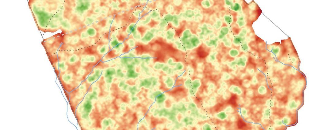 Mapa rozložení objemu všech kmenů v Žofínském pralese v roce 197 Průša E., Král K., Adam D., Hort L., Janík D., Šamonil P., Unar P., Vrška T.