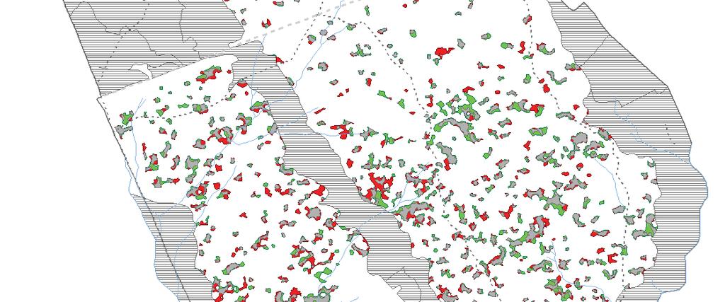 Mapa vývoje porostních světlin ("gaps") v bukové části Žofínského pralesa mezi lety 1983-1991 Kenderes K., Král K., Vrška T., Adam D., Hort L., Janík D., Šamonil P., Unar P.