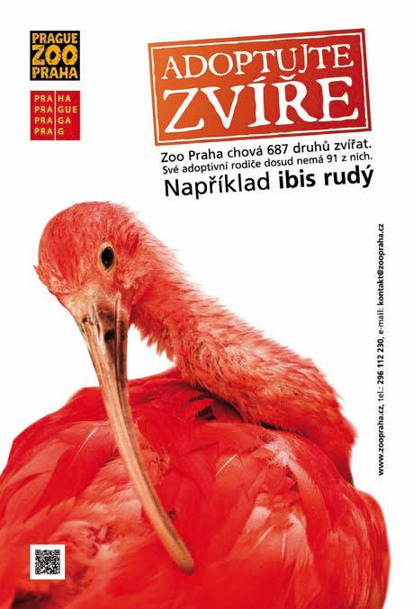 Stylizace fotografie mi připadá povědomá, a už si vzpomínám odkud: z plakátů propagujících výstavu fotografa Davida La Chapelle. Ale zřejmě půjde jenom o náhodnou spodobu.