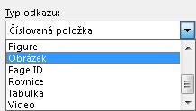 3. V seznamu Typ odkazu vyberte, o jaký objekt se jedná (obrázek, tabulku, animaci, video ap.). 4.