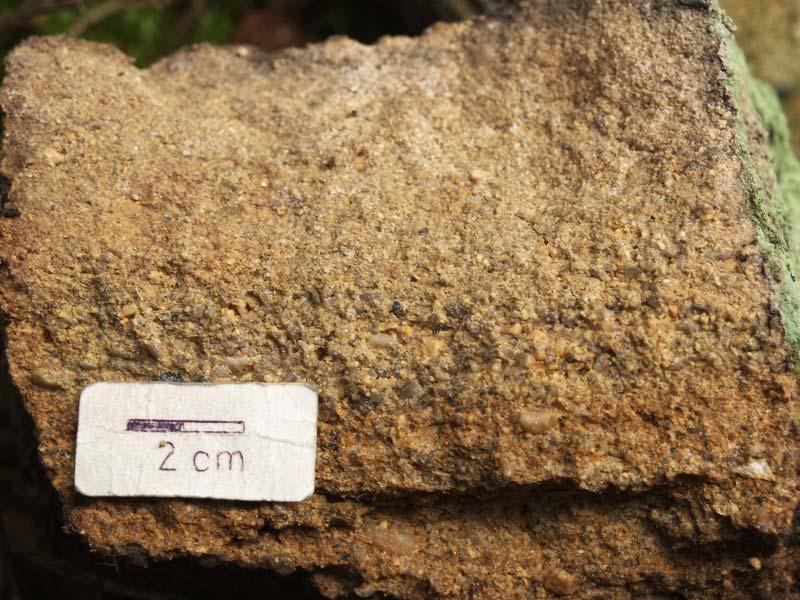 Psamitické sedimenty - arkóza Arkóza je zpevněný psamitický sediment, který obsahuje více než 25 % živců a úlomků nestabilních hornin, zastoupení matrix (jílovitá a prachovitá složka) nepřesahuje