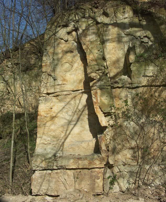 Smíšené typy klastických sedimentů Slíny a slínovce Jako slín označujeme nezpevněný sediment tvořený směsí jílovité a prachovité frakce s karbonátovou hmotou.