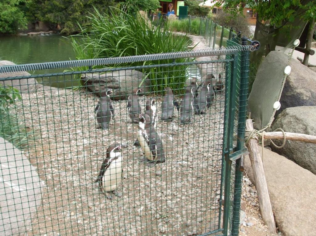 4 Zoo Plzeň