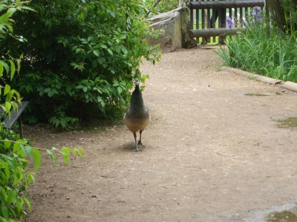 6 Zoo Plzeň