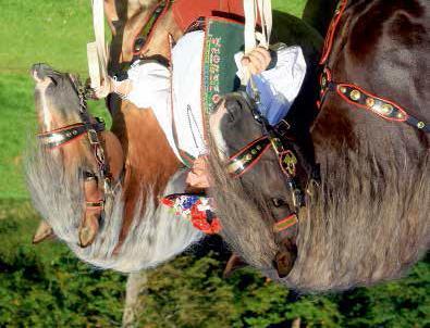Legendární jezdecké dny Tlumačov se záhy stal střediskem chovu koní na Moravě. Legendární jsou «jezdecké dny» z doby první republiky.