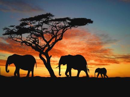 Nádherná Namíbie nabízí jedinečnou přírodu, neopakovatelné písečné duny, divoké pobřeží Skeleton Coast i národní park Etosha, který je ideálním místem pro safari. ČÍSLO ZÁJEZDU: 0119 TERMÍN: 11. - 26.