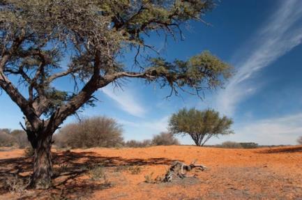 v typické africké restauraci - Joe s Beerhouse Nocleh v hotelu Safari Court Hotel Odjezd přes Rehoboth a Kalkrand do Kalahari Anib Lodge, ležící na okraji pouště Kalahari Poušť Kalahari zabírá velkou