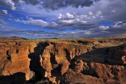 U osvícené vodní plochy se často objevuje antilopa oryx a antilopa skákavá Nocleh v Namib Desert Lodge 17.