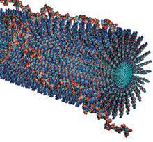 Nanotechnologie založené na přírodních materiálech PŘÍKLADY Z MEDICÍNSKÉ APLIKACE Nanotrubky obalené DNA