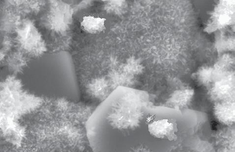 Těsnění spár Těsnicí plechy a profily Krystalizace Jak vypadá krystalizace v detailu?