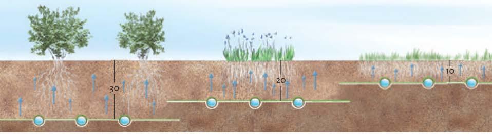 ZAVLAŽOVACÍ ROHOŽE Eco RAIN Zavlažovací rohož ECO Rain PODPOVRCHOVÉ ZAVLAŽOVÁNÍ NOVÁ GENERACE zavlažovací rohože ECO Rain Nov se rohož se skládá z kapkovacího potrubí RainBird XF-SDI 16mm, ur eného