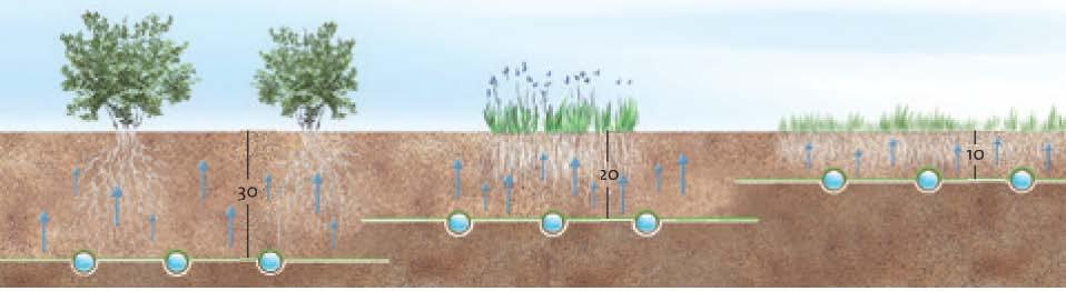 ZAVLAŽOVACÍ ROHOŽE Eco RAIN Zavlažovací rohož ECO Rain PODPOVRCHOVÉ ZAVLAŽOVÁNÍ NOVÁ GENERACE zavlažovací rohože ECO Rain Nov se rohož se skládá z kapkovacího potrubí RainBird XF-SDI 16mm, ur eného