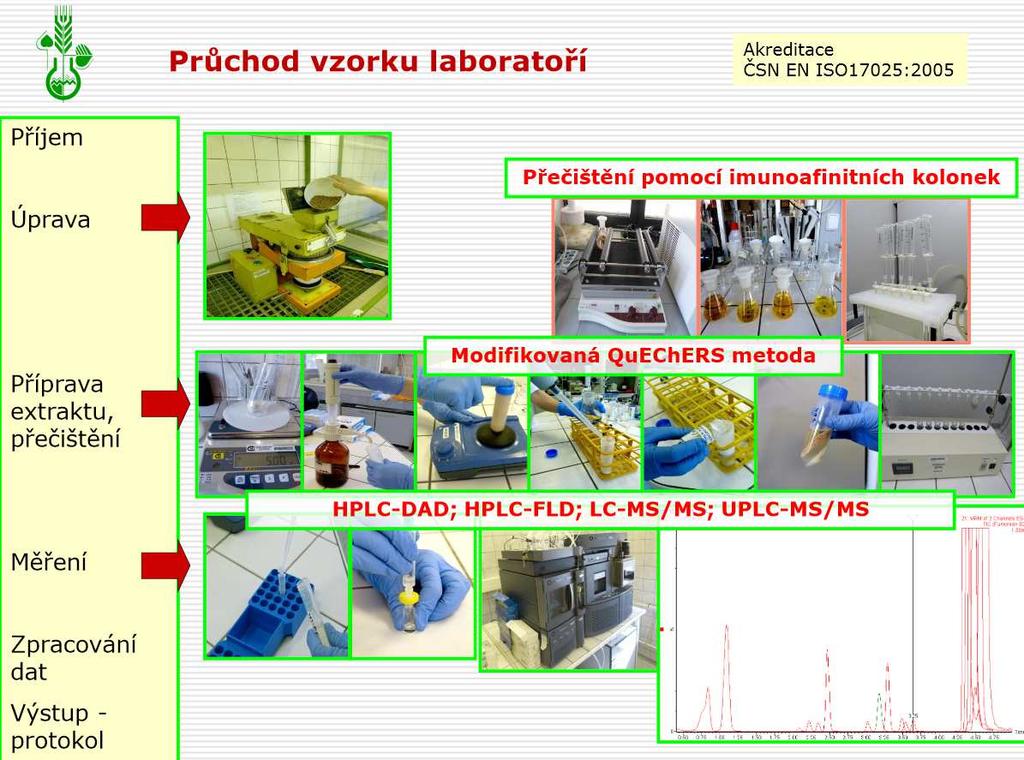 Mykotoxiny - stanovení Analytické procesy: odběr vzorku extrakce přečištění