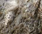 Největší předností bavlny je její prodyšnost, která při kontaktu s pokožkou dodává pocit svěžesti. Bavlna zároveň dokáže absorbovat velké množství vlhkosti, čímž napomáhá udržovat pokožku v suchu.