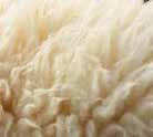 Vlna wool Vlna je nejstarší živočišné vlákno. Má výborné tepelně regulační vlastnosti, vynikající prodyšnost a schopnost dokonale absorbovat přebytečnou vlhkost.