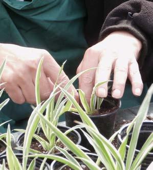 Křišťana Prachatice (CZ) > Sdružení na ochranu přírody Bürger und Umwelt Geschäftsbereich Natur im Garten (AT) > Hochschule für Agrar- und Umweltpädagogik, Wien (Vysoká škola agrární a ekologické