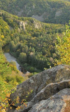 ZÁKLADNÍ ÚDAJE K PROJEKTU PŘÍRODA BEZ HRANIC Oblast podpory 2.6: Životní prostředí a prevence rizik Doba realizace: 03/2009 05/2012 Účastníci projektu: > společnost Nationalpark Thayatal GmbH s r.o. (Národní park Thayatal) (AT) (vedoucí partner projektu) > Správa národního parku Podyjí (CZ) Internetová stránka projektu: http://www.