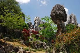 DEN: KUNMING - SHILIN - PEKING Dopoledne návštěva Kamenného lesa (čínsky nazvaného Shilin). Kamenný les je soubor mohutných vápencových věží tmavě šedé barvy o rozloze 80 hektarů.