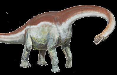 OBR VĚTŠÍ NEŽ CELÉ STÁDO SLONŮ Argentinosaurus ( Argentinský ještěr ) Žil zhruba před 97 94 miliony let.