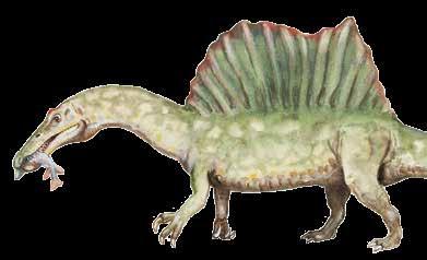KRK DLOUHÝ JAKO KOMÍN Mamenchisaurus ( Ještěr od řeky Mamen ) Žil zhruba před 160 145