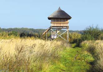 Tři samostatné pavilony léčebných lázní spojuje krytá kolonáda, jediná svého druhu u nás. Stavby Josefa Gočára můžete obdivovat při procházce naučnou stezkou Gočárův okruh.