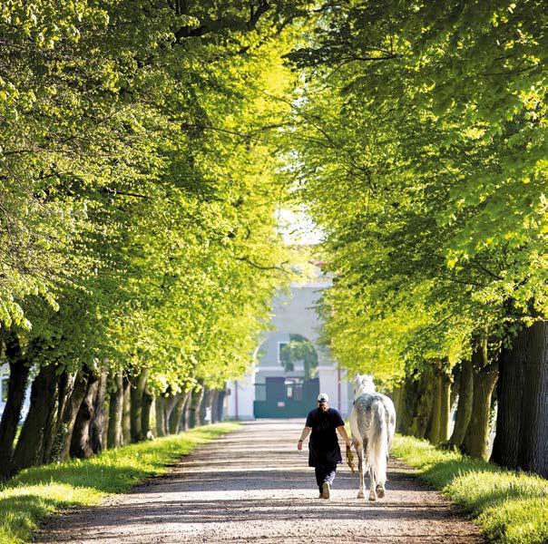 3 RELAXAČNĚ DO PŘÍRODY 3 RELAXAČNĚ DO PŘÍRODY Arboretum Vysoké Chvojno Mazurovy chalupy K pohodové dovolené neodmyslitelně patří