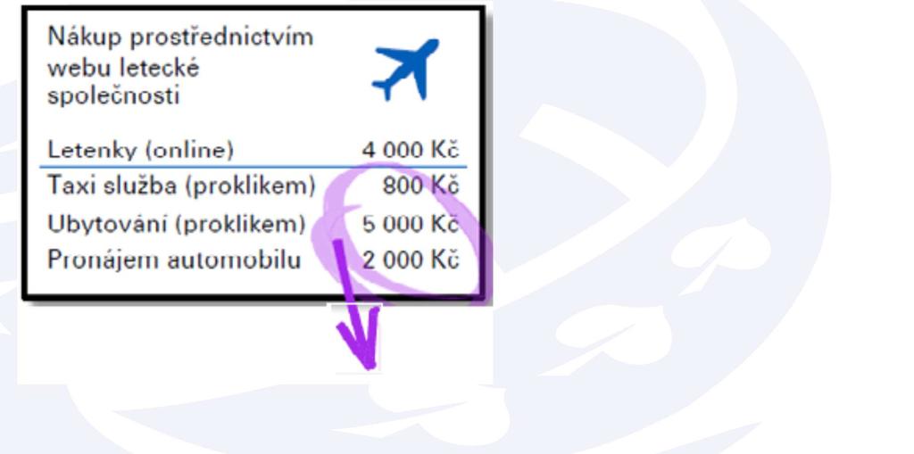 SPOJENÉ CESTOVNÍ SLUŽBY (SCS) PŘÍKLAD Služby pod