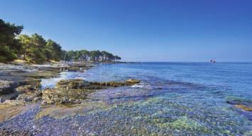 KOMPLEX SAVUDRIJA se nachází cca 9 km od města Umag, leží přímo u moře a je obklopen borovým hájem a bohatou mediteránskou zelení.
