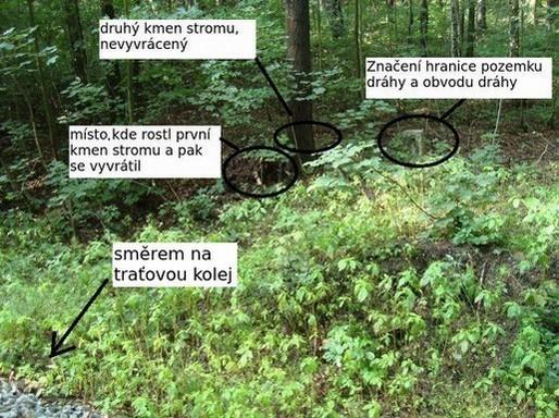 kmen stromu Zdroj: SŽDC, úprava DI  8: