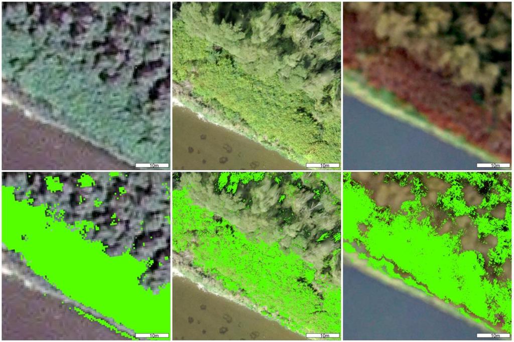 Při použití letních satelitních snímků s kvalitními NIR daty (např.