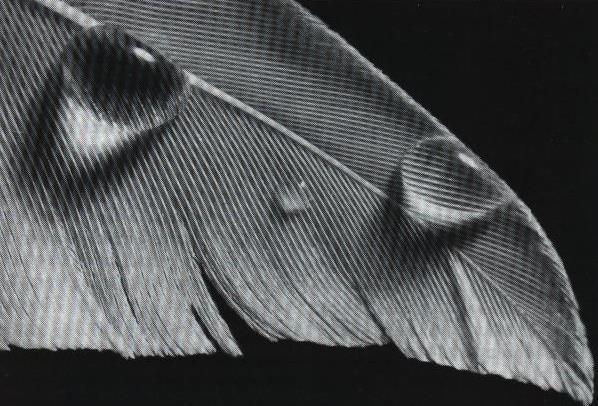 Obr.1.