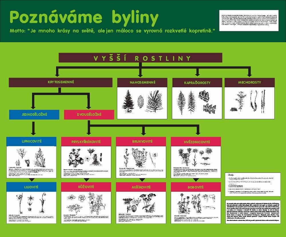 KVK11EV_tab_BZ_ZZ_796_w.doc str.