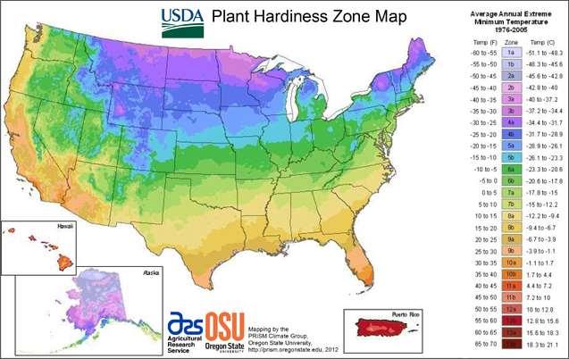 USDA zones relating to USA and also applied to