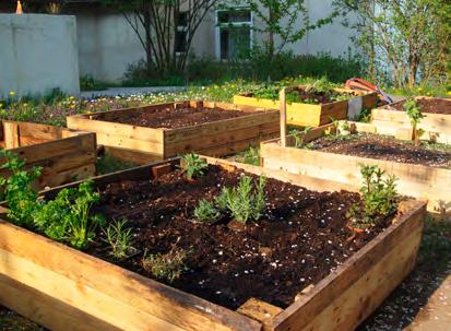 ZAHRADY Komunitní zahrada Vidimova Zahradu jsme založili v roce 2013. Nachází se uprostřed panelového sídliště Jižní město, kde na 50 záhonech pěstuje 45 rodin z okolí.