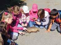 VZDĚLÁVÁNÍ V ZOO OLOMOUC Vzdělávání je nedílnou součástí práce v zoologické zahradě, proto jsme vždy velmi rádi, když se k nám v průběhu celého roku vracejí informací chtiví zájemci z řad dětí i