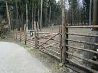 Bourání lávky u medvědů /Demolition of a platform in the bear enclosure/ Oprava plotu u sobů