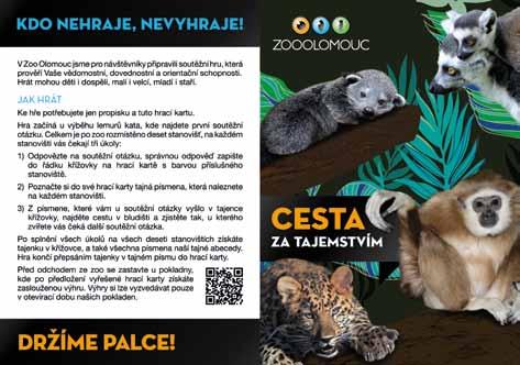 Vizuál nové zoohry /Visual for a new zoogame/ dostávali za odhalení pachatele krádeže ibisích vajec.