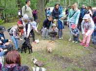 Komentované krmení, které proběhlo v 15 hodin na vyhlídce u pavilonu žiraf, jako bonus přineslo řadu zajímavostí z jejich chovu u nás. 17. 6.