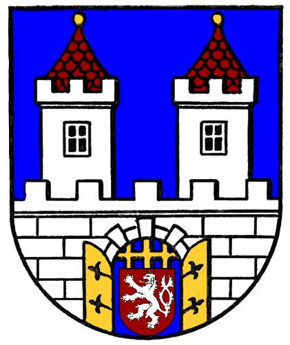 jmenovitě: o na kulatých razítkách, v záhlaví právních předpisů města (vyhlášky, nařízení) a jiných nosičů.