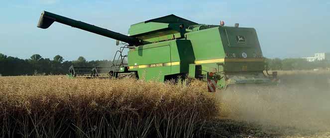 V porostu ošetřeném Agrovitalem 0,7 l/ha jsou skutečné ztráty minimální OL Poznámka Pozemně i letecky Pozemně i letecky 2 3 týdny před sklizní Cca 14 dnů před sklizní Agrovital 4 týdny před sklizní