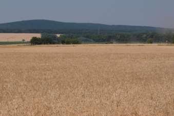 Pilotní studie základní charakteristika území ZD Bulhary (okres Břeclav): Cca 800 ha z.p., rostlinná a živočišná výroba Kukuřičná výrobní oblast, 9.