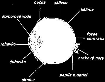 Biologie