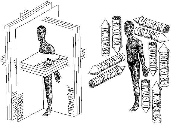 FSI VUT DIPLOMOVÁ PRÁCE List 10 1 ANATOMIE KOLENNÍHO KLOUBU Kolenní kloub je jeden z nejsložitějších kloubů v lidském těle.