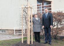 Informujeme NOVÁ LÍPA MARIE U VILY STIASSNI Již 90 let uplynulo od započetí stavby vily Stiassni a založení rozlehlé zahrady, včetně příjezdové aleje.