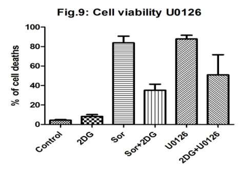 U0126 - v kombinácii s 2DG znížil počet usmrtených buniek, takže 2DG pravdepodobne odstránila efekt downregulácie enzýmu MEK.