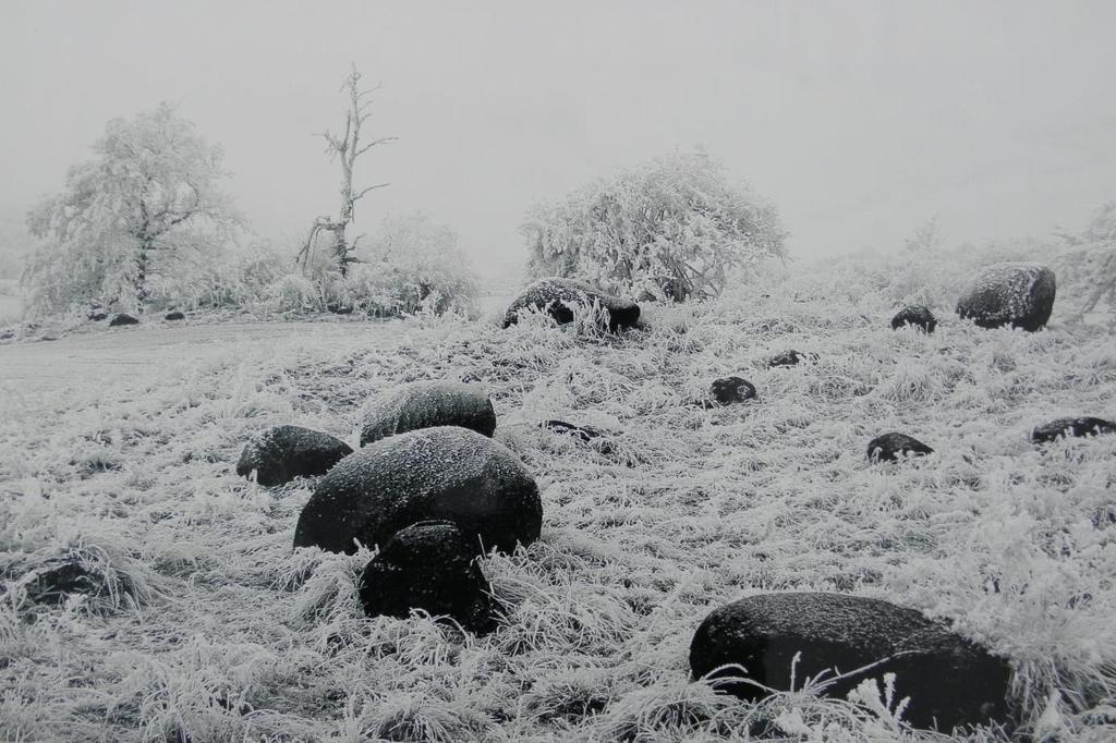 Jaroslav Kršek Fotograf z Třebíčska. Fotografování se věnuje od roku 2006. Ke svému fotografování používá výhradně digitální fotoaparát.