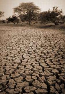 Desertifikace úrodná půda se mění v neúrodné pouště až 70 % území trpí nedostatkem srážek,