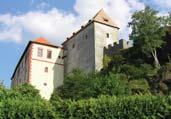 Od roku 1523 hrad téměř 200 let vlastnila jedna z větví významného rodu Malovců z Malovic, kteří nechali hrad přestavět na pozdně renesanční sídlo.