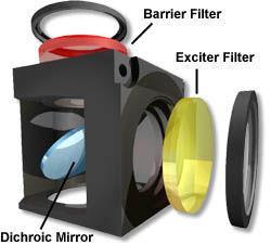 Fluorescenční mikroskopie Konstrukce filtru všechny tři